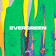 Evergreen Single