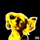 GLODAY Single