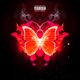 DIFFERENCES Single