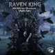 RAVEN KING feat xSunshynex Radio Edit Single