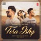 Tera Ishq Single