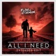 All I Need Extended Edit Single