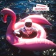 Sentiment Single