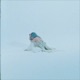 White Room Single