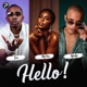 Hello feat P m P MzVee Single