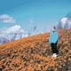 acecloud cookies Single