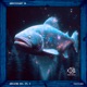 Mountain Dub Single