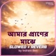 Amar Praner Majhe Slowed Reverb Single