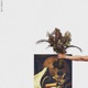 Flowers Single