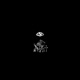 Sight Single