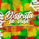 Disfruta la vida feat Nivo Bajo Esencia Single