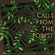 Calls From The Forest Single