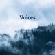 Voices feat Flyint Single