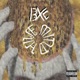 Hive Mind Single