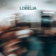 LOBELIA Single