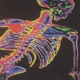 SKELETON Single