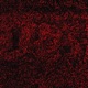 Antidote To Noise Single