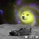 Elon Musk Single