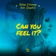 Can You Feel It feat Dauphin Single