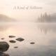A Kind of Stillness Single