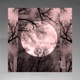 Luna Piena Single
