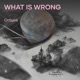 What Is Wrong Single