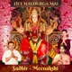 Hey Navdurga Mai Single
