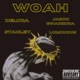 WOAH feat Stanley Jason Gwanzura Meet Luminous Single