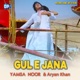 Gule Jana Gul E Jana Title Song Single