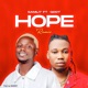 Hope Remix feat Qdot Single