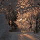 Memories in The Winter Single