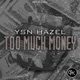 Too Much Money feat Renzy808 Single