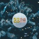 2020 Single