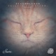 Valleys Of Saturn EP