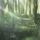 Like a Jungle Sometimes Single