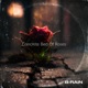 Concrete Bed of Roses Single