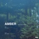 Amber feat Itamar Ziegler Single
