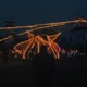 In This Darkness Single
