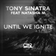 Until We Ignite Single