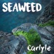 Seaweed Single
