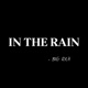 In The Rain Single