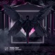 Assassin Sped Up Single