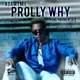 Prolly Why Single feat YoungBlaze Single