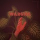 Wildside Single