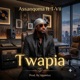 Twapia feat T Vii Single