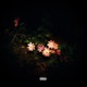 Out The Garden feat ahxander Single