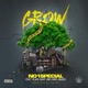 Grow feat Plain Sight Chris Rivers Single