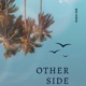 Otherside Single