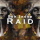 Raid Single