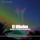 Driving to Paradise Single